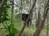 img_20200803_133033