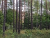 img_20200809_095728