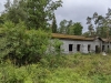 pxl_20210820_140743882-mp_