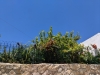 img_20190617_125329