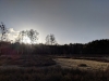 img_20190101_143650