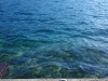 039limone
