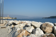 salo-2011
