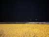 PXL_20230413_204943428.NIGHT_