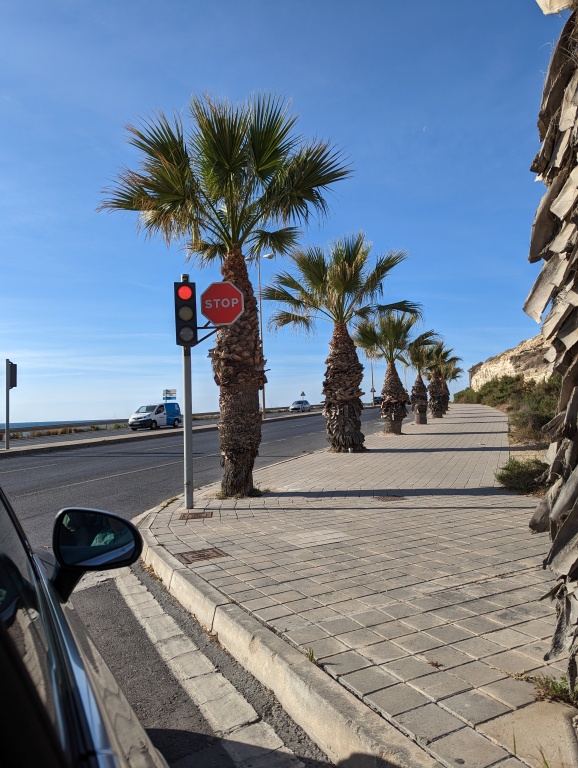 PXL_20230414_073734366