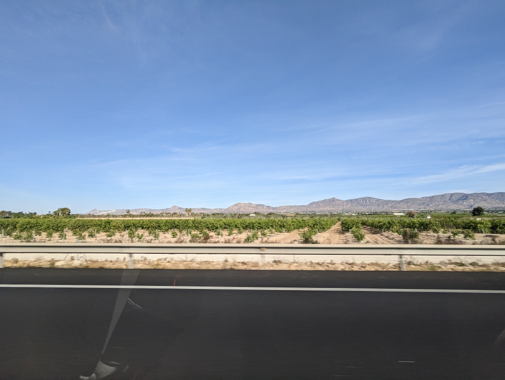 PXL_20230414_081209146