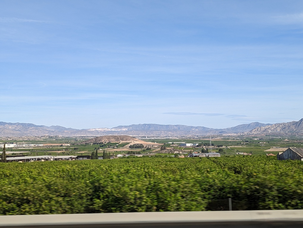 PXL_20230414_082209319