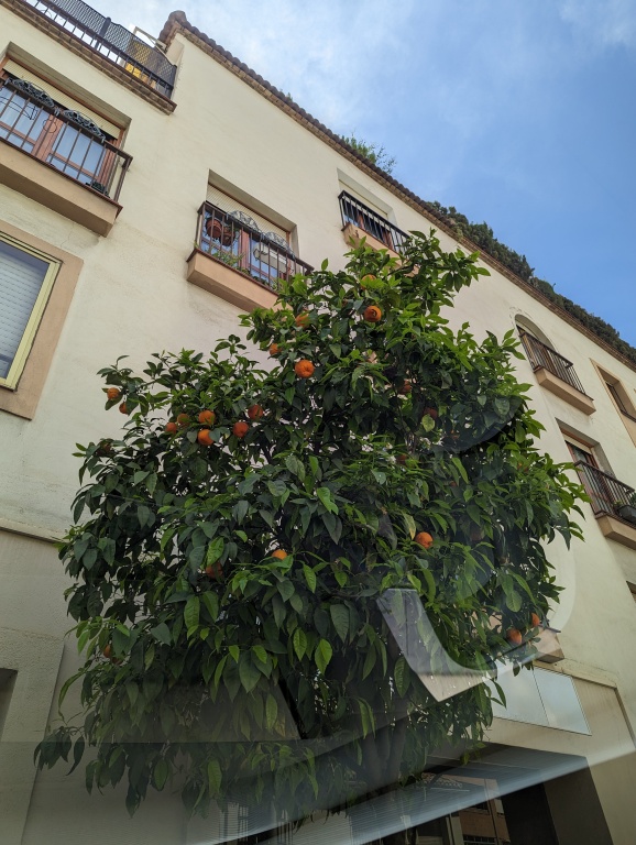 PXL_20230414_120836618