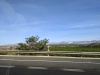 PXL_20230414_081945553