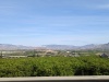 PXL_20230414_082209319