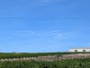 PXL_20230414_082805663.MP_
