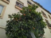 PXL_20230414_120836618