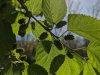 PXL_20230414_140953057