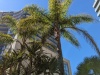 PXL_20230415_100325596