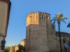 PXL_20230416_063120062