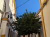 PXL_20230416_065322840.MP_