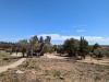 PXL_20230417_114341567
