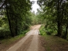 Impressionen aus der Tangersdorfer Heide 2019
