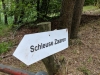 Impressionen aus der Tangersdorfer Heide 2019