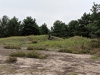 Impressionen aus der Tangersdorfer Heide 2019