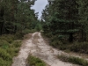Impressionen aus der Tangersdorfer Heide 2019