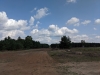 Impressionen aus der Tangersdorfer Heide 2019