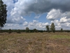 Impressionen aus der Tangersdorfer Heide 2019