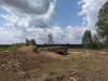 Impressionen aus der Tangersdorfer Heide 2019
