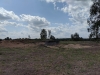 Impressionen aus der Tangersdorfer Heide 2019
