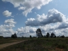 Impressionen aus der Tangersdorfer Heide 2019