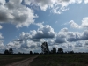 Impressionen aus der Tangersdorfer Heide 2019