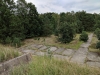 Impressionen aus der Tangersdorfer Heide 2019