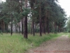 2012-08-08_09-59-55_267