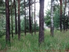 2012-08-08_10-00-03_168