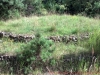 2012-08-09_10-39-03_394
