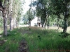 2012-08-09_10-39-49_34