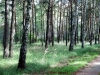 2012-08-09_10-43-39_3