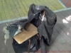 2012-08-09_10-47-54_849