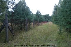 Vogelsang-2014