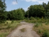 Vogelsang im Sommer 2019