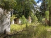 img_20200804_133656