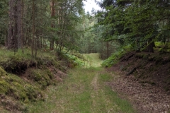 Wokuhl 2019